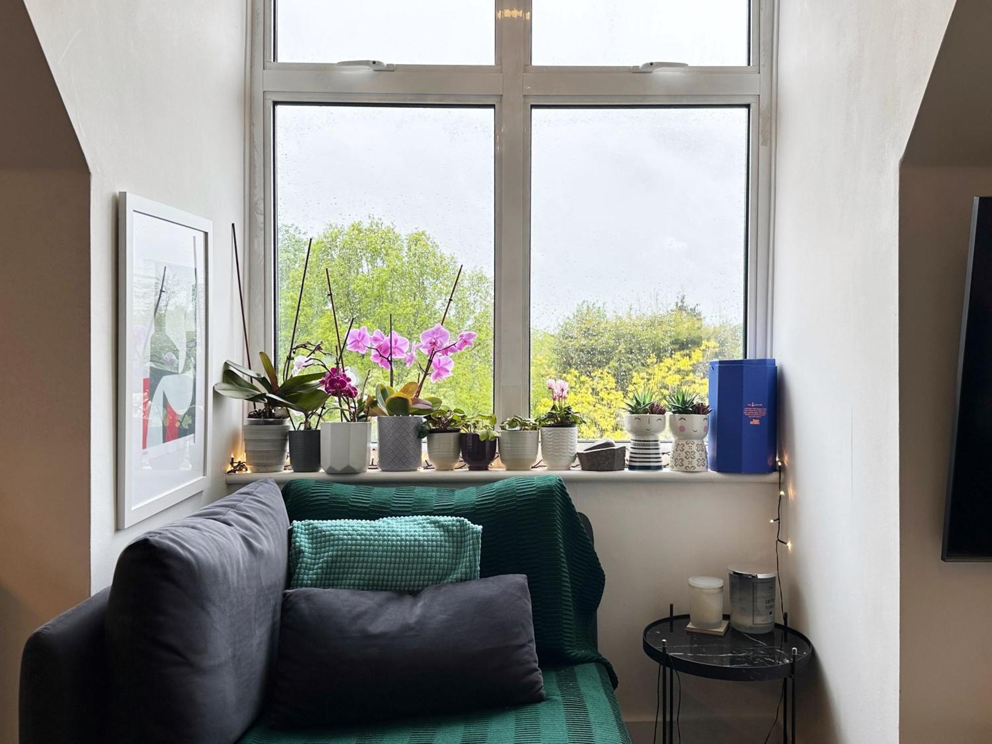 Ana's Place Near West Hampstead- 2 Double Beds, Max 4 People Appartamento *